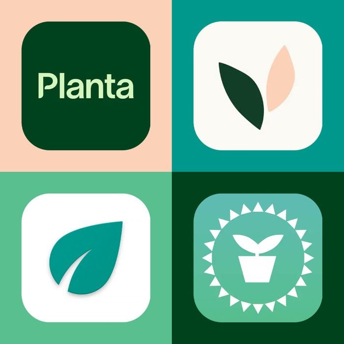 The 6 Best Plant-Care Apps For 2023 | Free Plant-Care Apps