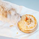This Dog Cake Recipe Is the Perfect Way to Celebrate Your Pup’s Birthday