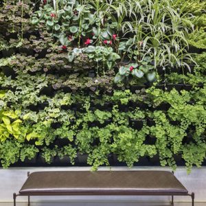 Green wall of houseplants growing indoors with bench, Berkshire Botanical Garden, Stockbridge, Massachusetts