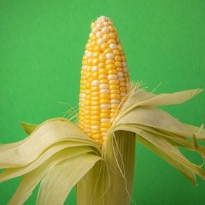 Fresh Ear of Corn