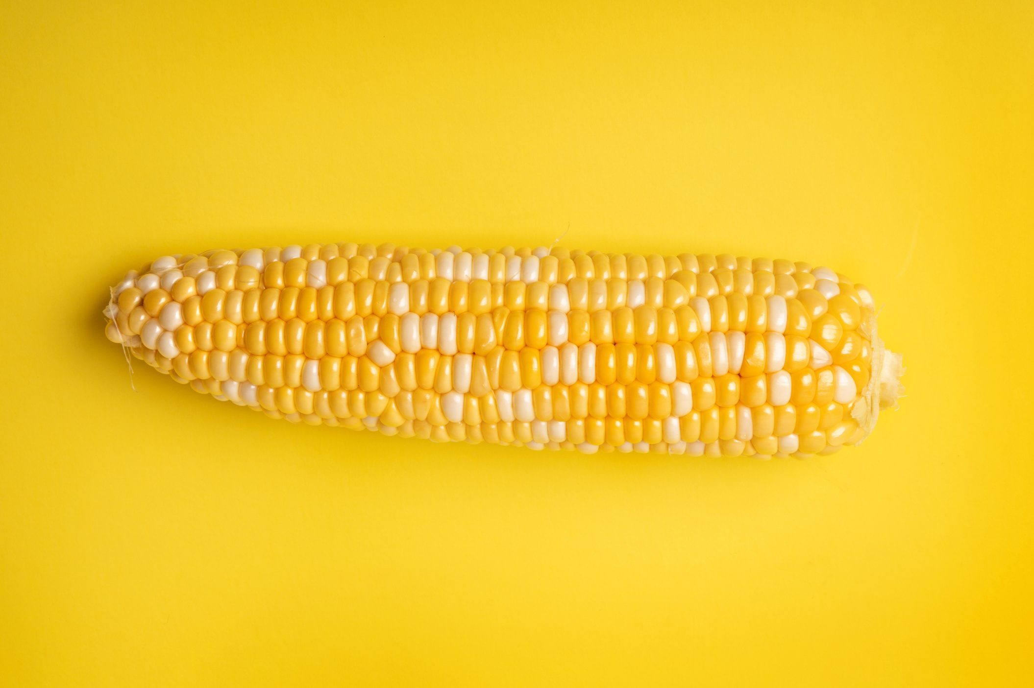 Corn on the Cob on Yellow