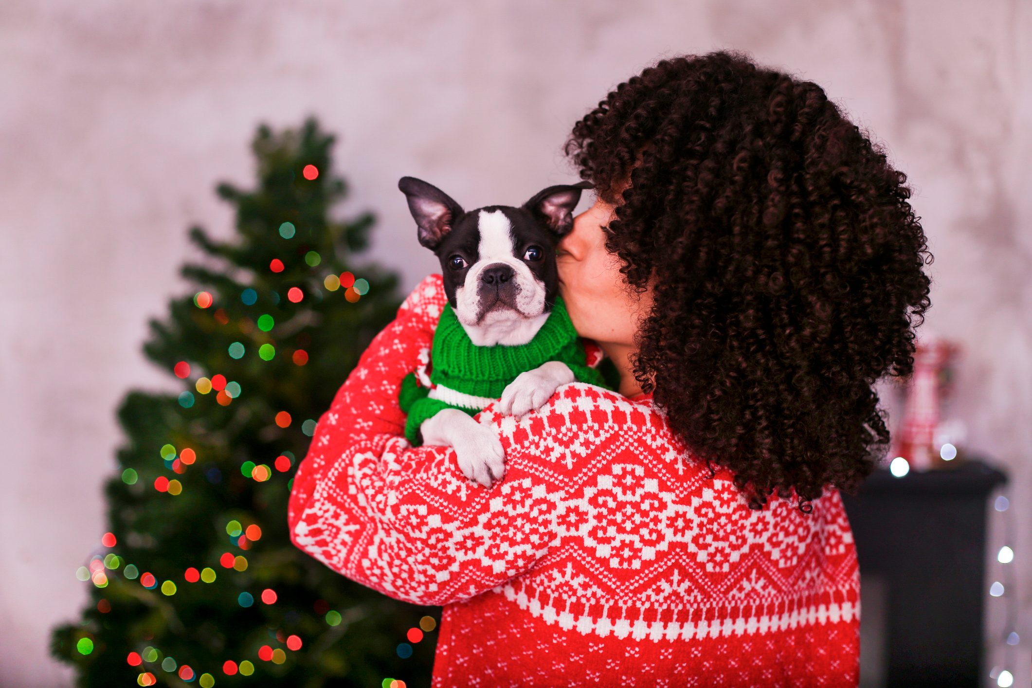 Woman at home with her puppy at Christmas time