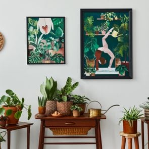 Stylish botany composition of home garden interior with wooden mock up poster frame, filled a lot of beautiful house plants, cacti, succulents in different design pots and floral accessories