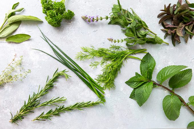 Variety of fresh healthy green organic culinary herbs