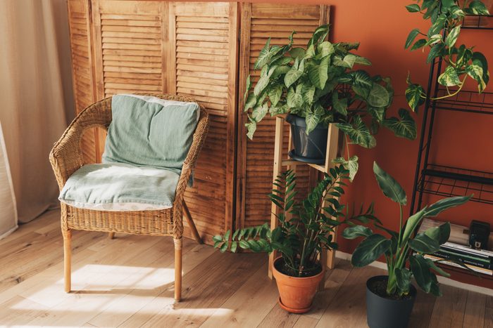Orange living room with vintage style furniture