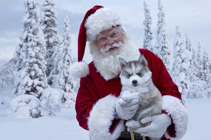Santa Claus holding a husky puppy