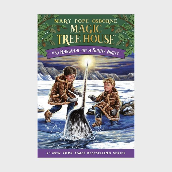 Magic Tree House 33