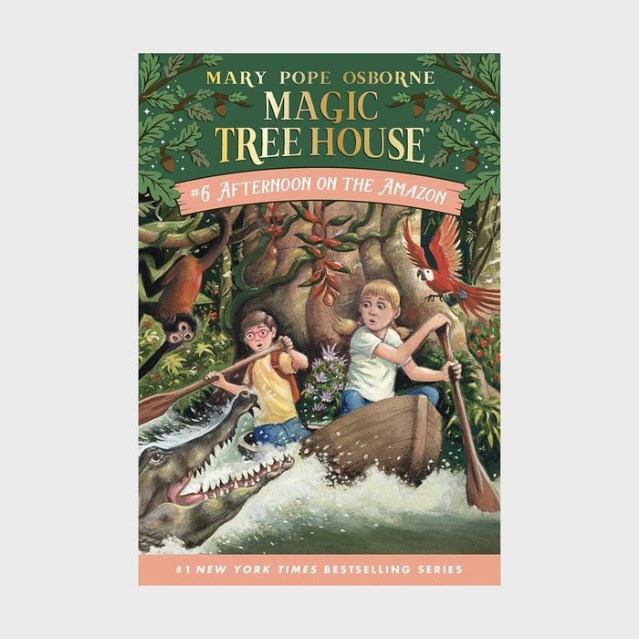 Magic Tree House 6