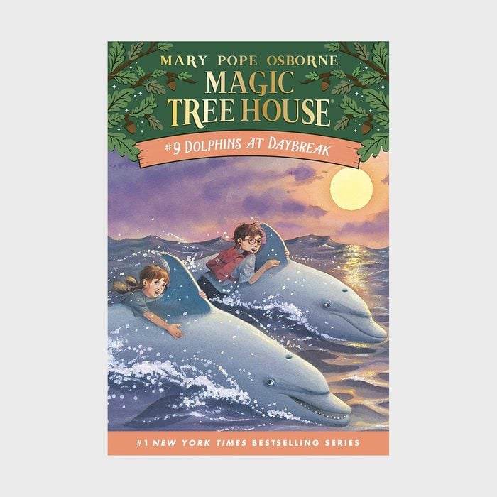 Magic Tree House 9