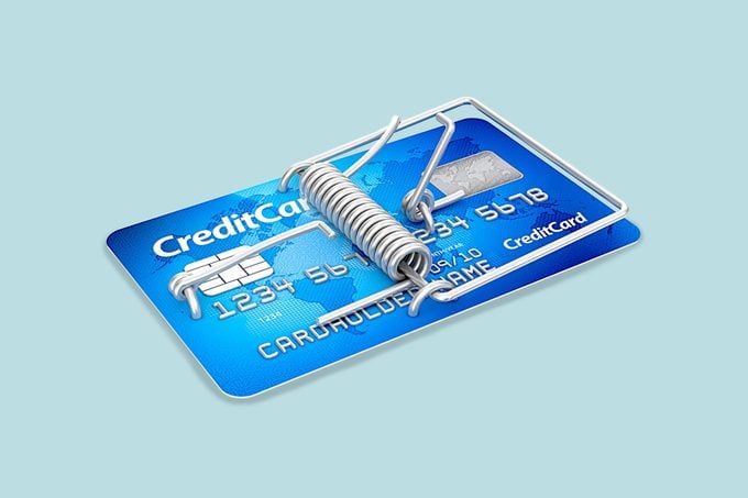 credit card mouse trap