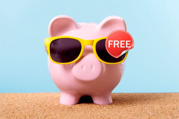 Piggy Bank On Beach Vacation wearing yellow frame sunglasses with a free sticker on them