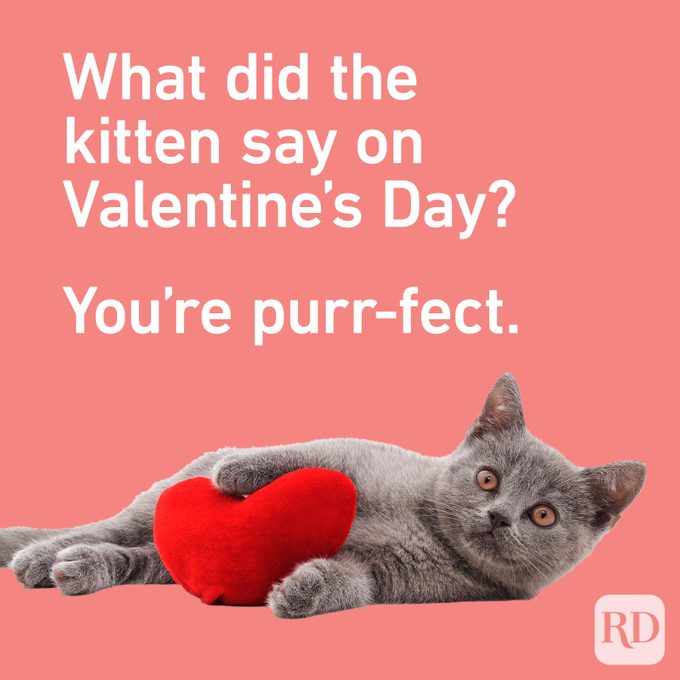 Funny And Sweet Valentines Day Joke