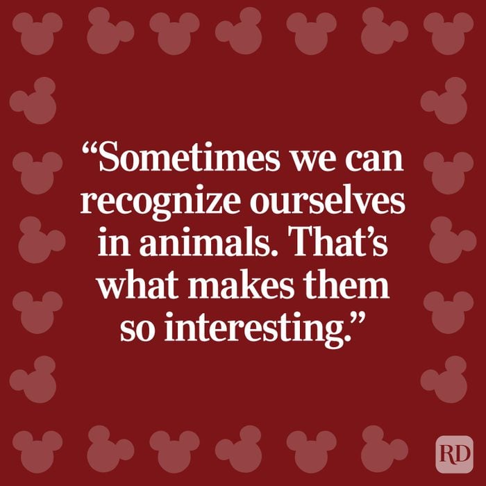 "Sometimes we can recognize ourselves in animals. That's what makes them so interesting."