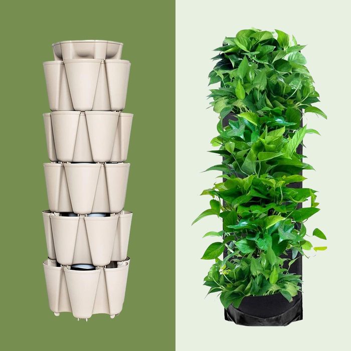 7 Eye Catching Vertical Gardens For Any Space