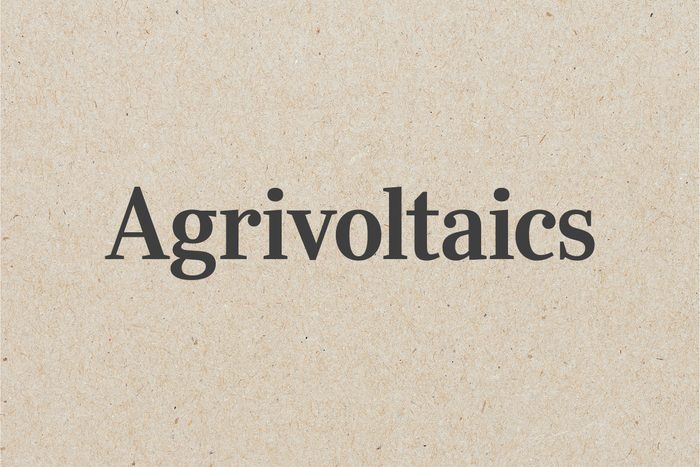 Agrivoltaics Against Kraft Paper Background