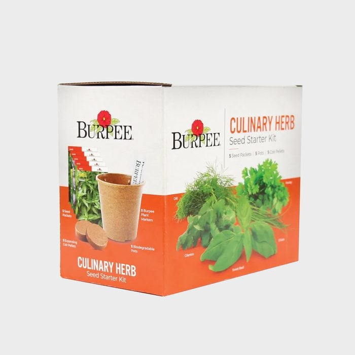 Burpee Culinary Herb Seed Starter Kit Ecomm Burpee.com