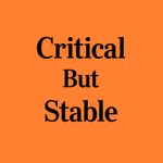 What Does “Critical But Stable” Mean?