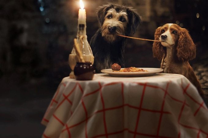 Disney Live Action Remake 16 Lady And The Tramp