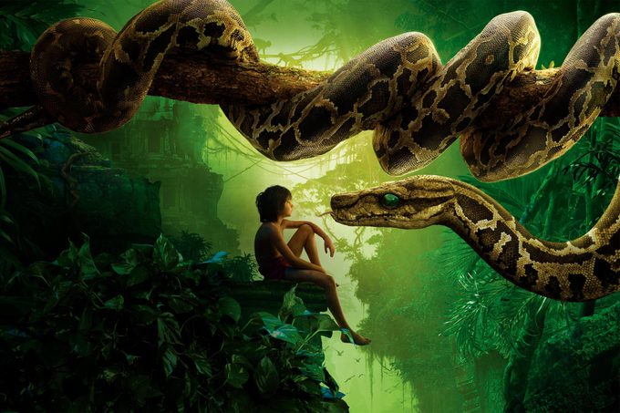 Disney Live Action Remake 6 The Jungle Book