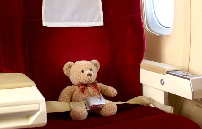 Teddy bear in first class seat