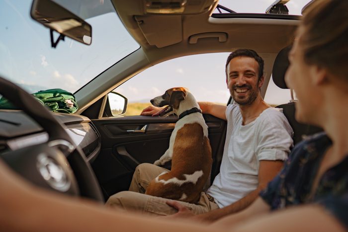 Photo of a smiling young couple and their dog riding in a car on a bright summer day.