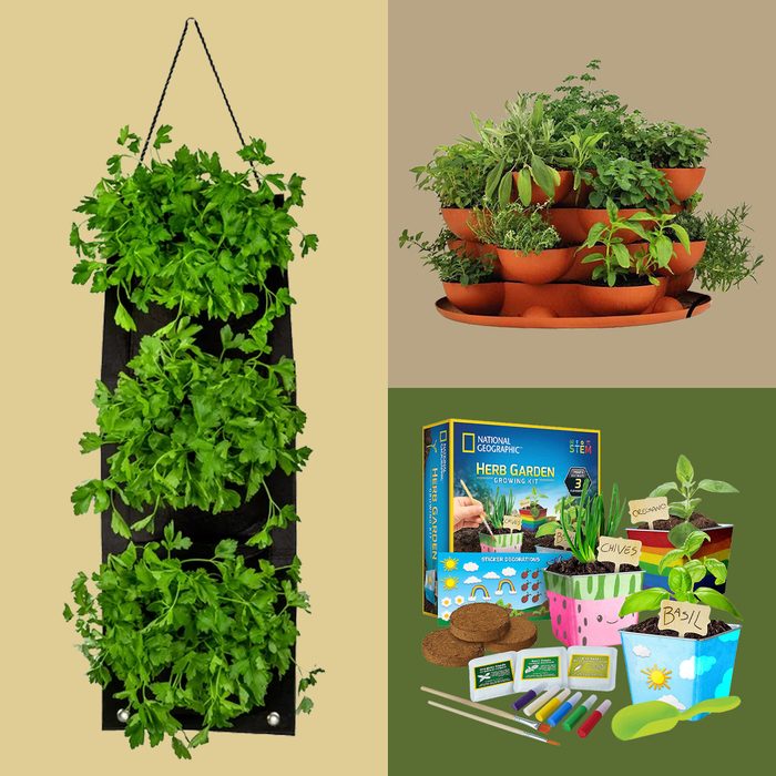 Rd Best Indoor Herb Garden Kits Via Merchant 3