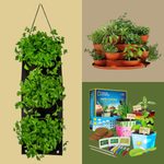8 Best Indoor Herb Garden Kits Anyone Can Grow at Home
