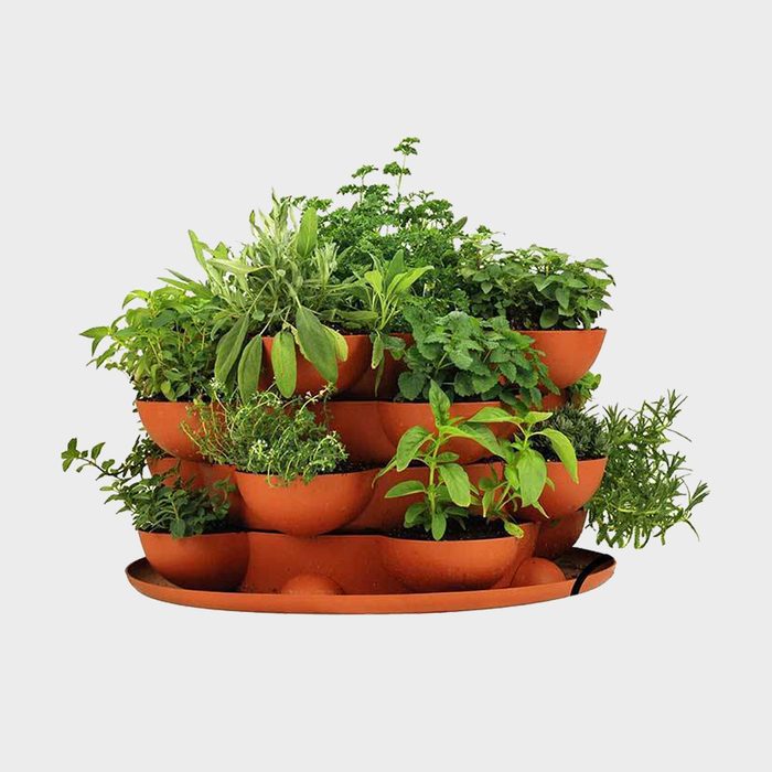 Stack And Grow Planter Plus Culinary Herb Kit Ecomm Trueleafmarket.com