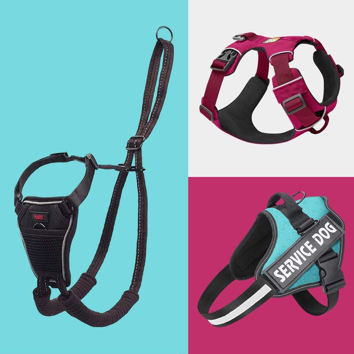 8 Harnesses to Help Your Dog Stand
