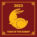 Year of the Rabbit: What 2023 Has in Store for You