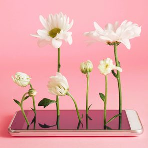 white flowers growing out of smartphone on pink background
