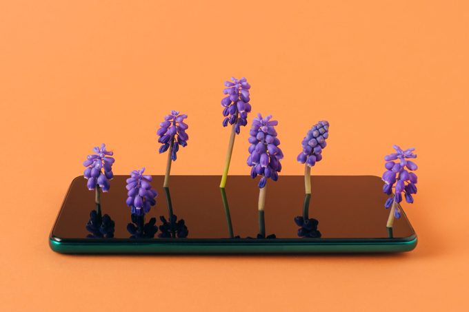 A Phone With Purple Flowers Growing From The Screen. Orange Background