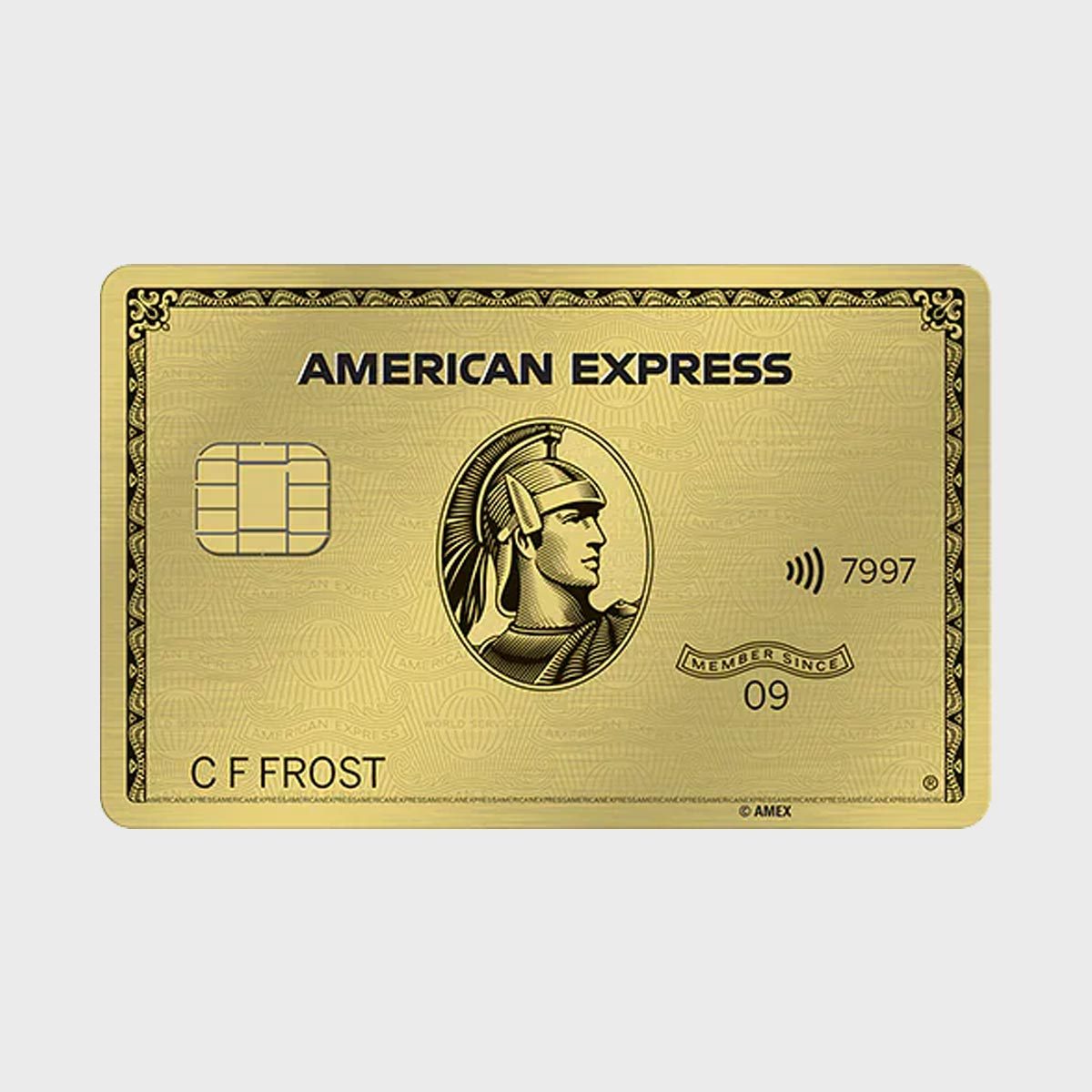 american express gold card travel medical insurance