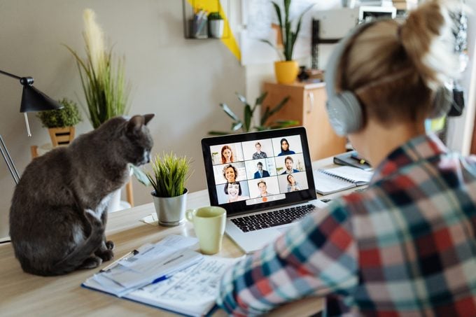 Woman Works from home with cat and colleagues 
