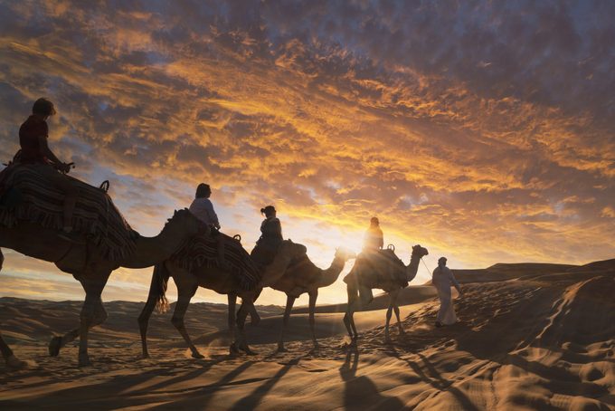 Tourists on camels in the desert at sunset