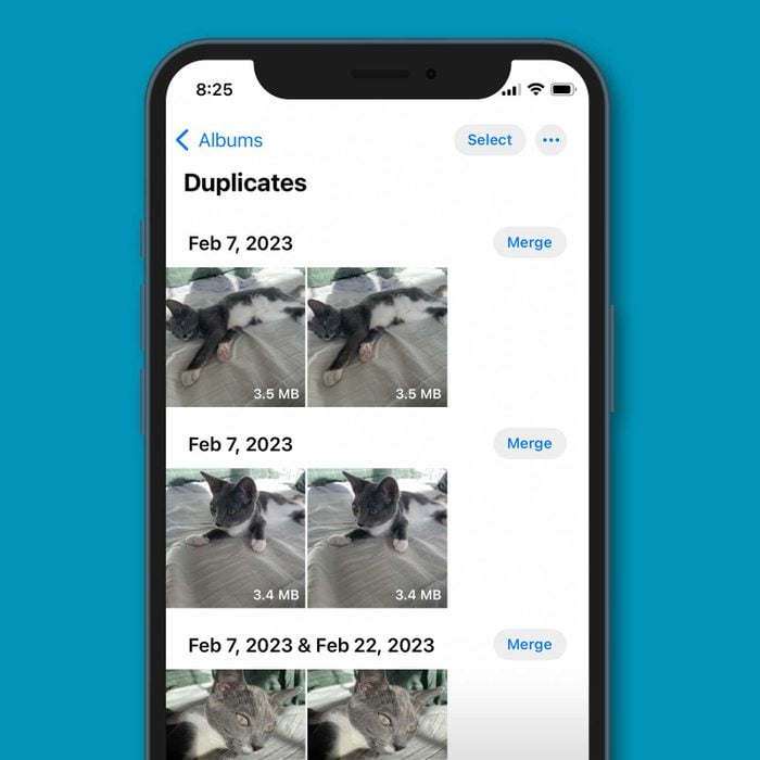 iPhone showing the Duplicates photo album