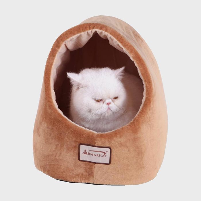 Covered cat bed