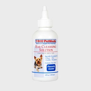 Ear Cleaning For Dogs