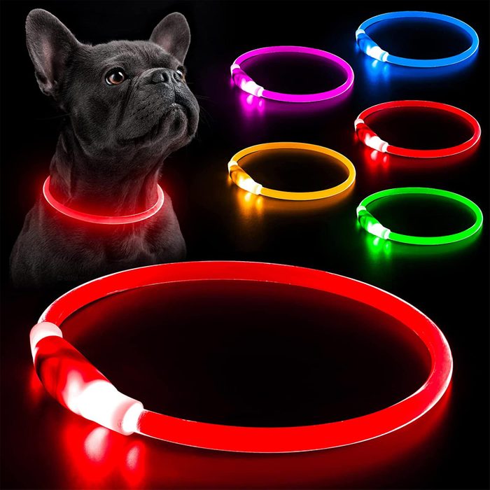 Light up dog collar