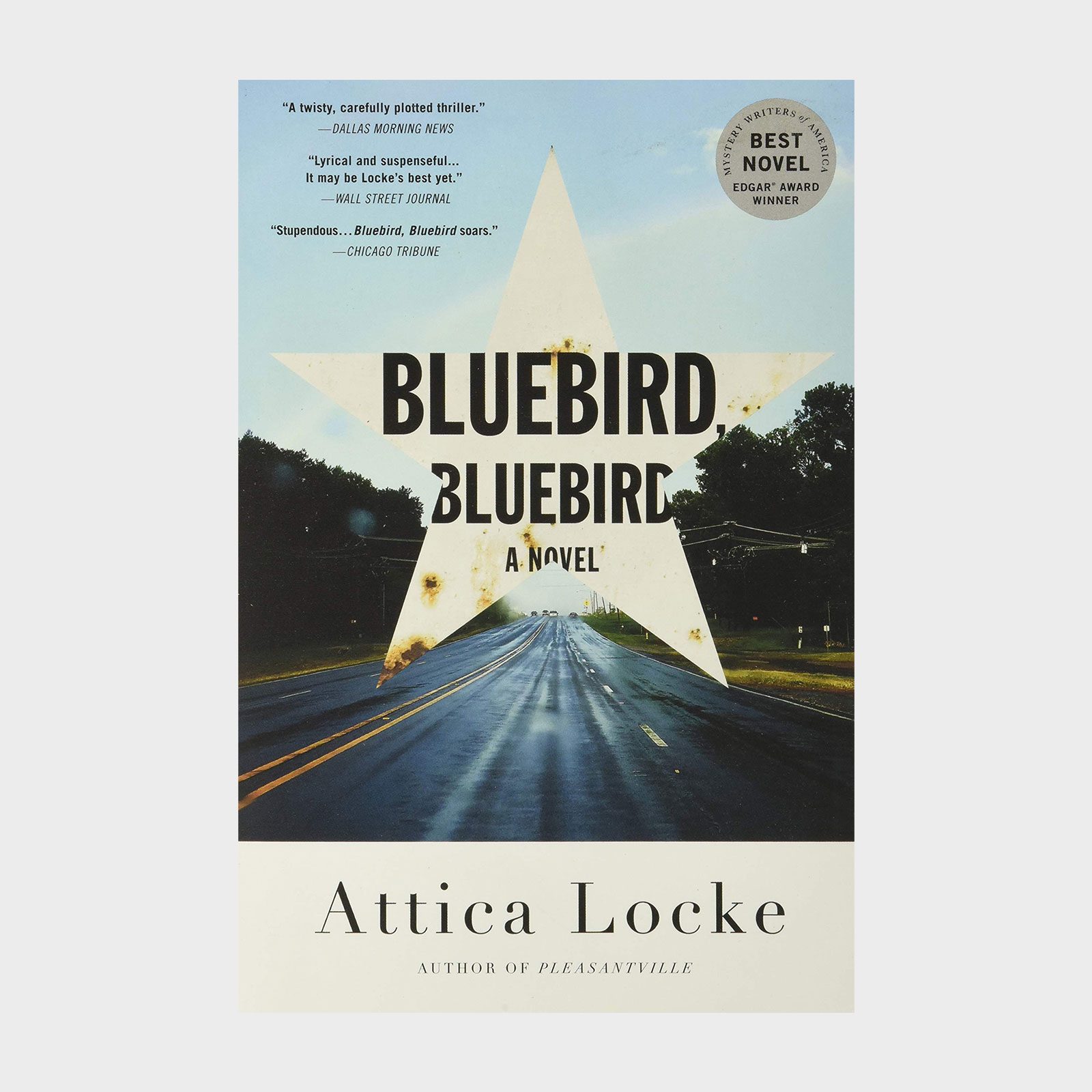 Bluebird Bluebird Book