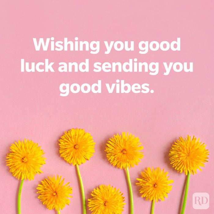 Dandelions on a pink background, TEXT: Wishing you good luck and sending you good vibes.