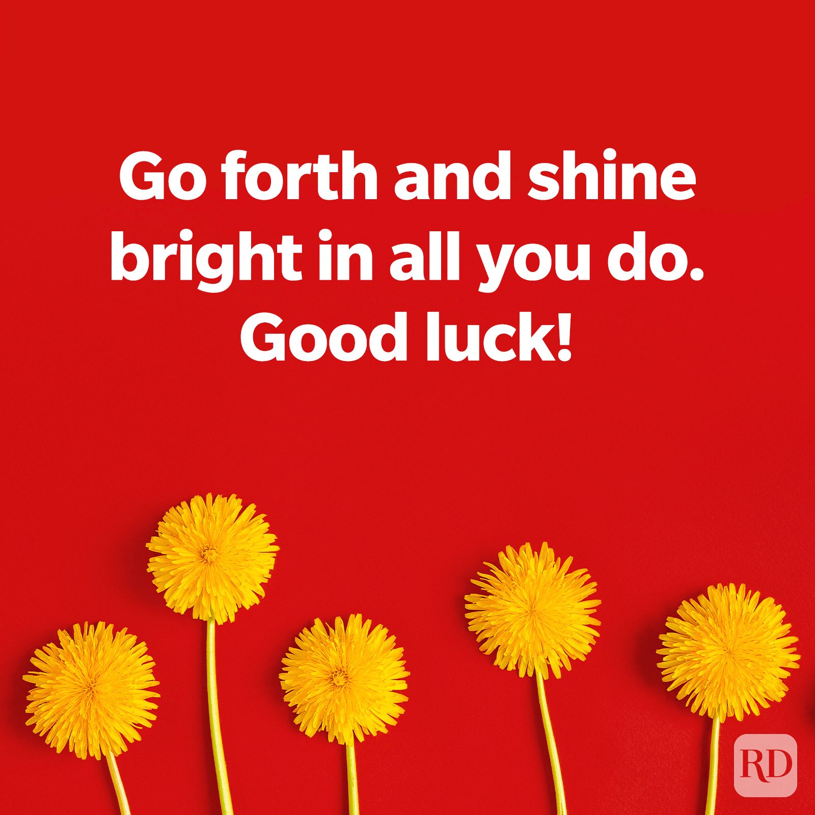 Dandelions on a red background, TEXT: Go forth and shine bright in all you do. Good luck!