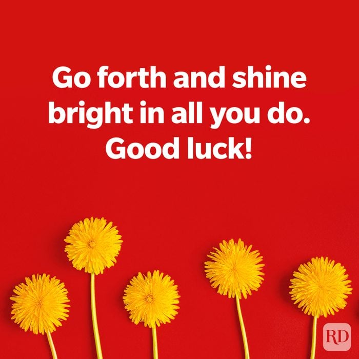 Dandelions on a red background, TEXT: Go forth and shine bright in all you do. Good luck!