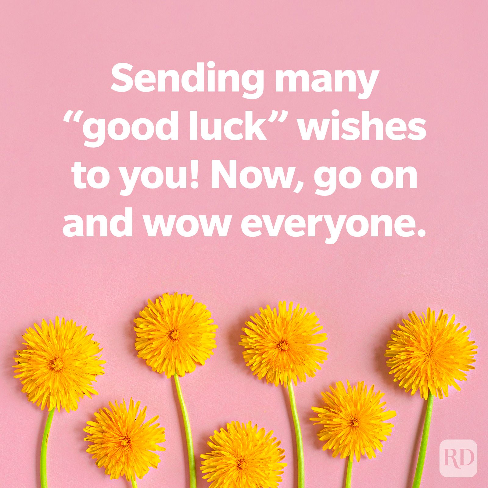 Dandelions on a pink background, TEXT: Sending many good luck wishes to you! Now, go on and wow everyone.