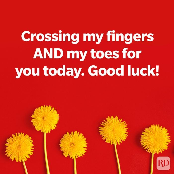Dandelions on a red background, TEXT: Crossing my fingers AND my toes for you today. Good luck!