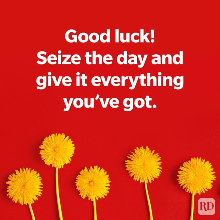 Dandelions on a red background, TEXT: Good luck! Seize the day and give it everything you've got.