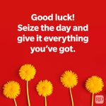100 “Good Luck” Wishes Everyone in Your Life Will Appreciate