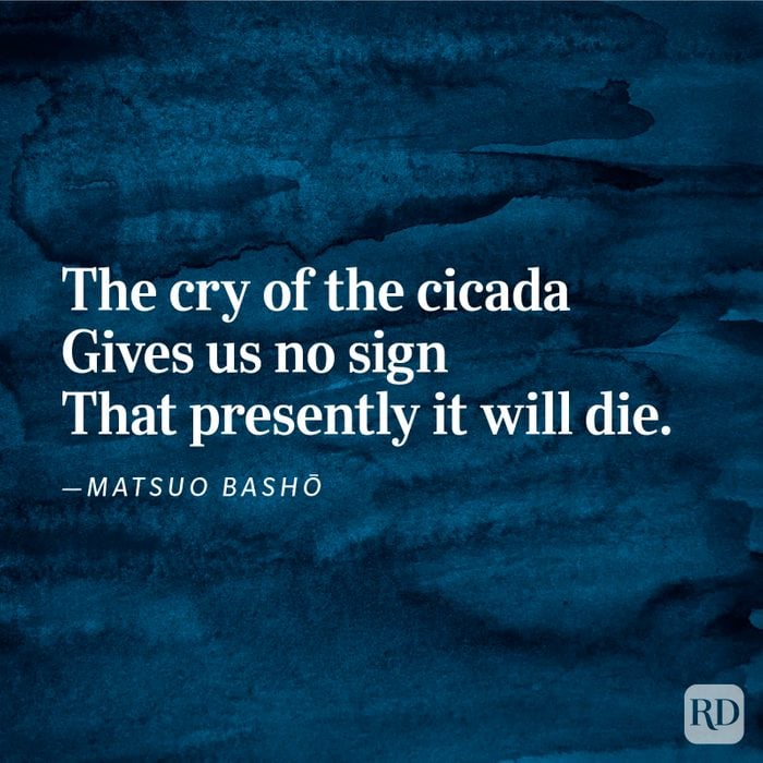 “[The cry of the cicada]” by Matsuo Bashō