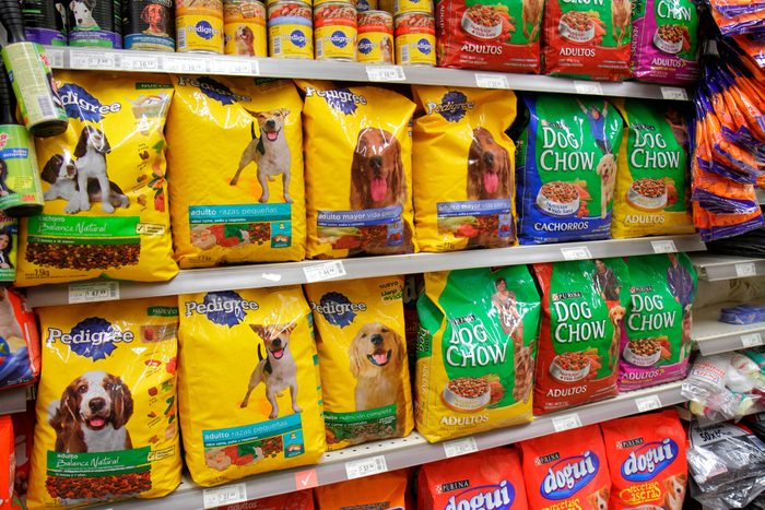 Dry Dog Food Sits on Shelf in Supermarket Grocery Aisle