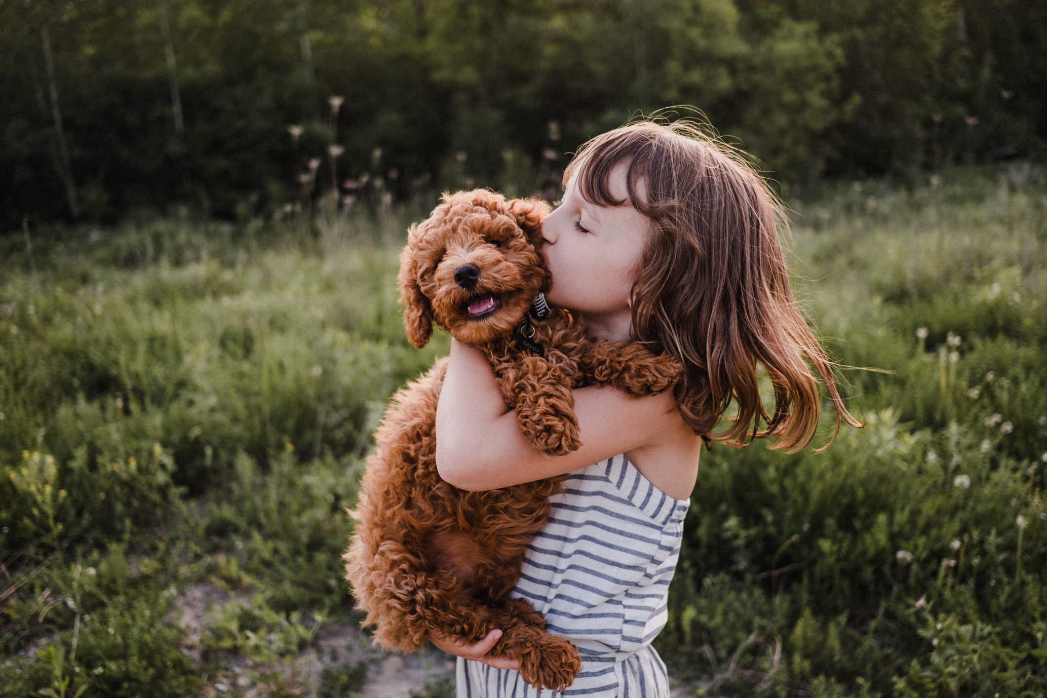Do Dogs Like Kisses And Hugs? Pet Experts Explain | Since 1922